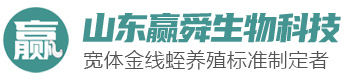 美彩国际
