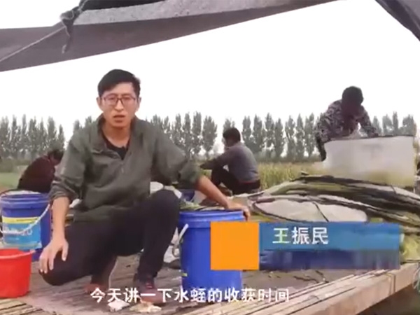 美彩国际收成功夫